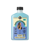 LOLA COSMETICS šampon za oštećenje gladi 250ml